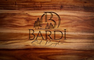 bardi suit bungalov